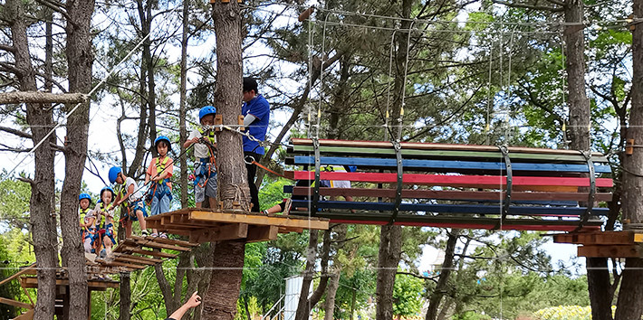 1635819686394760.png 11.2.1.1.png