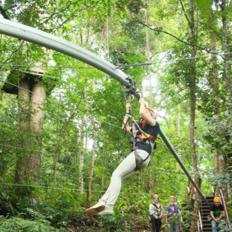 1637718908921851.png 750.2.png