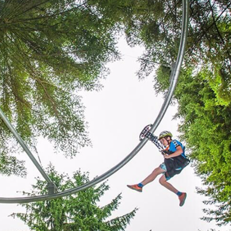 1637718916373549.png 750.4.png